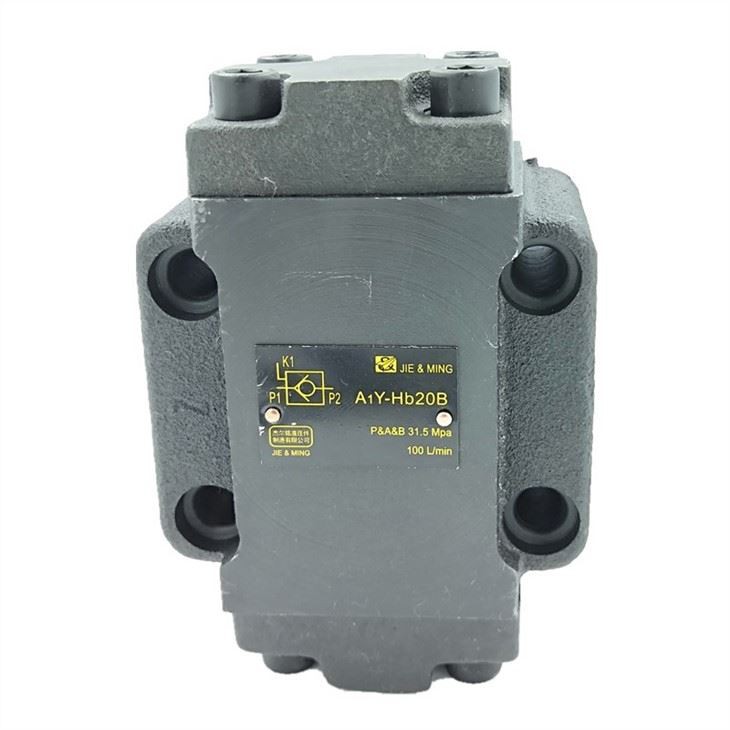 A1Y A2Y Series Hydraulic Lock Pressure Maintaining Valve A1Y-HB20L A1Y-HB10L A1Y-Ha20L A1Y-Ha10L A1Y-Ha32L A1Y-HB32L