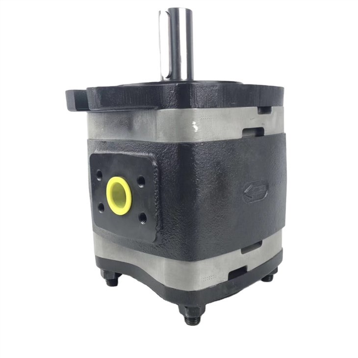 IPV 4-16-171 독일 IPV IPVP 시리즈 유압 내부 기어 펌프 오일 펌프 IPV4